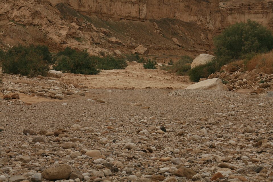 שיטפון בנחל צין. צילום ארכיון
