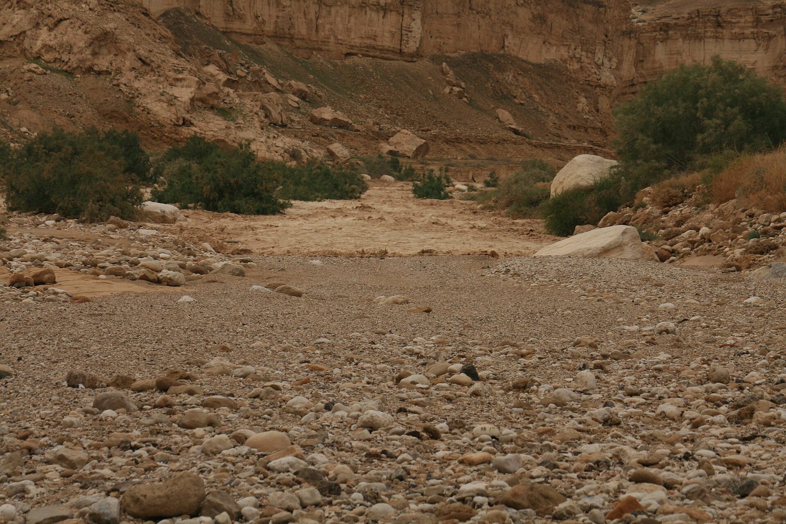 שיטפון בנחל צין. צילום ארכיון
